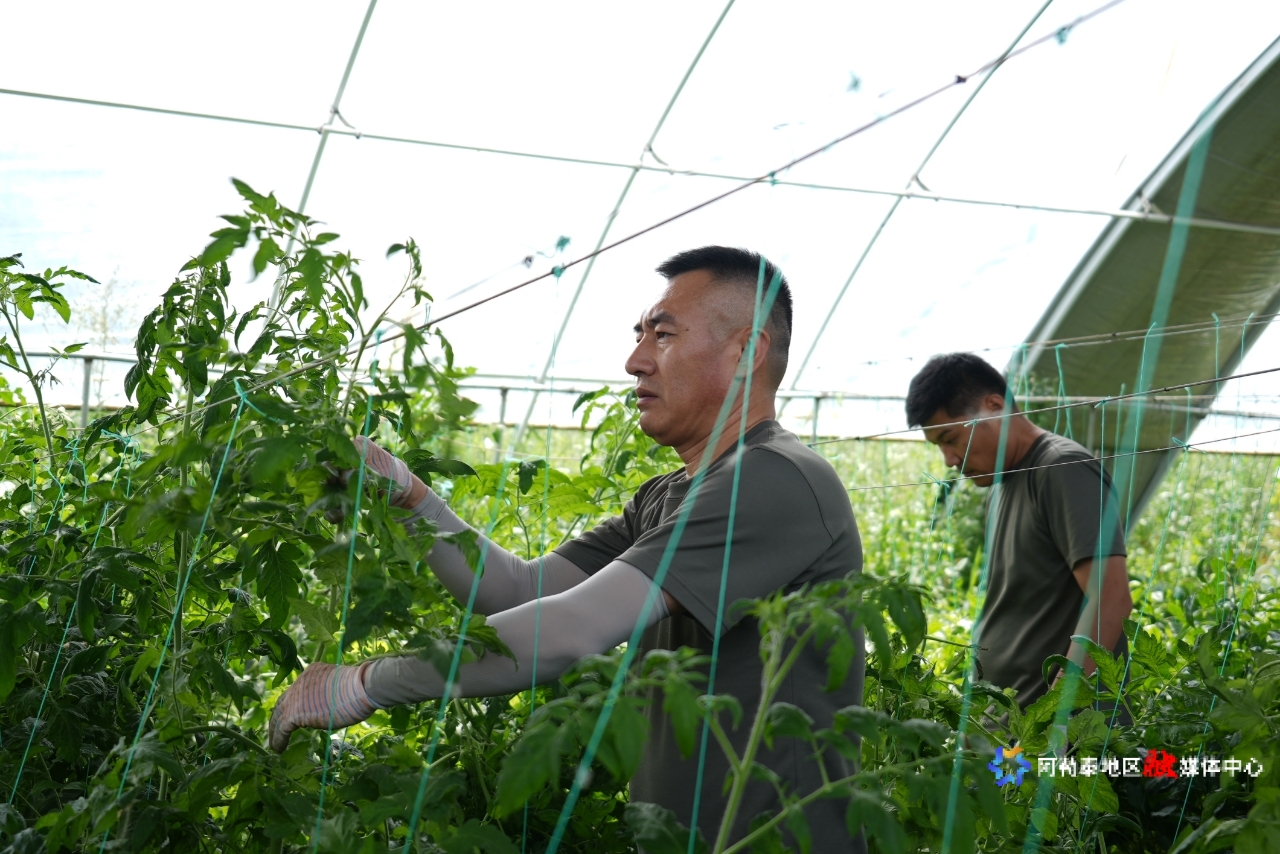 mmexport1745146919982